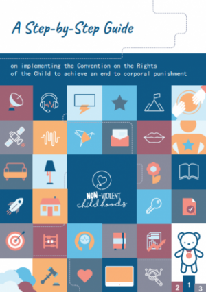 Implementing prohibition: a step-by-step guide